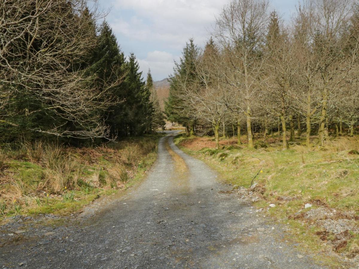 Brithgwm Canol Dolgellau Extérieur photo